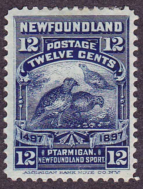Newfoundland SG 74 issued in 1897