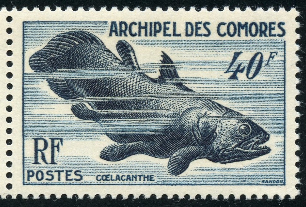 New Member, Old Collector - Stamp Community Forum