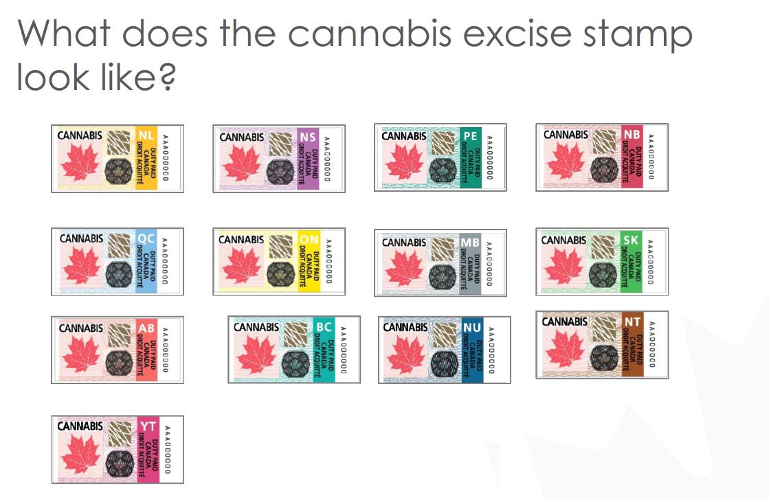 how is tobacco taken Why is tobacco so addictive? how is tobacco taken Why is tobacco so addictive?